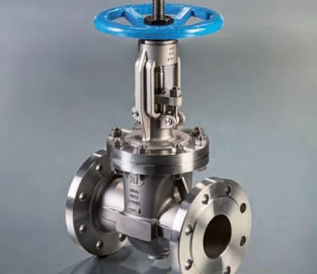 Stainless steel rising stem gate valve with raised face flanged ends